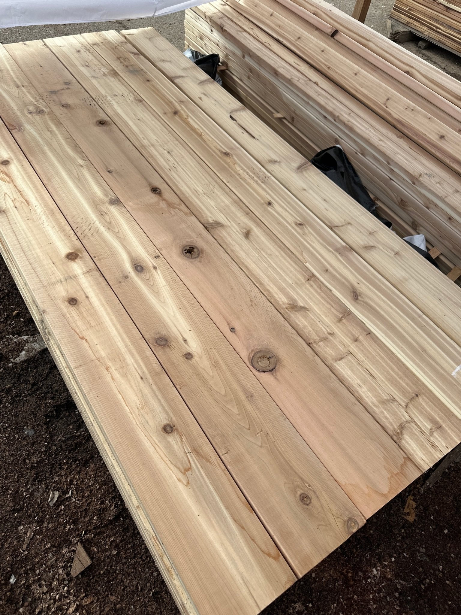 2"x8" Cedar - Kingma Lumber Edmonton
