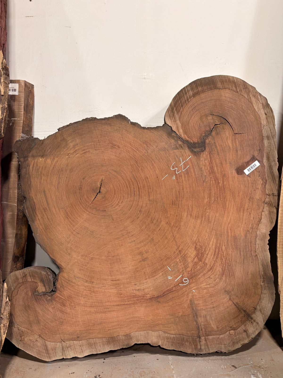 4" Thick Bubinga Cookie BC01 - Kingma Lumber Edmonton