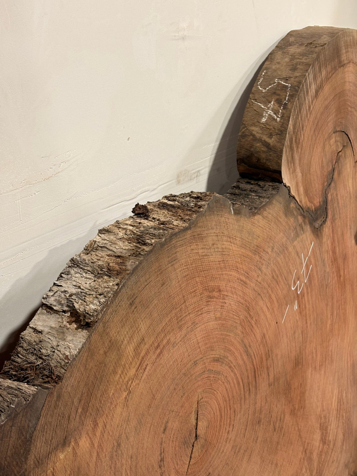 4" Thick Bubinga Cookie BC01 - Kingma Lumber Edmonton