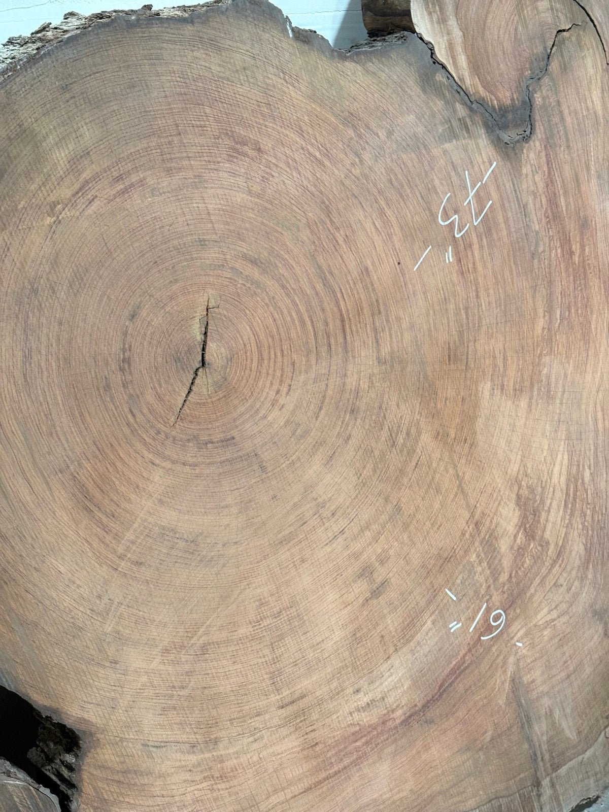 4" Thick Bubinga Cookie BC01 - Kingma Lumber Edmonton