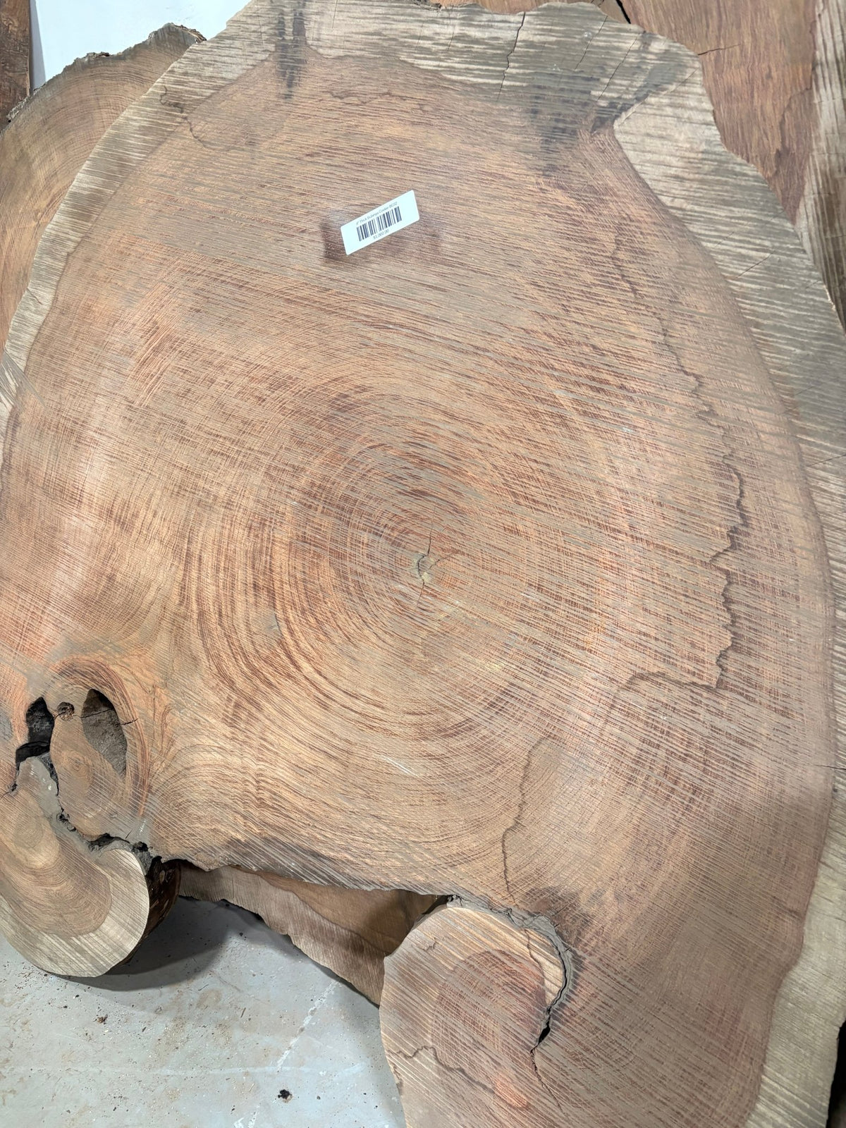 4" Thick Bubinga Cookie BC02 - Kingma Lumber Edmonton