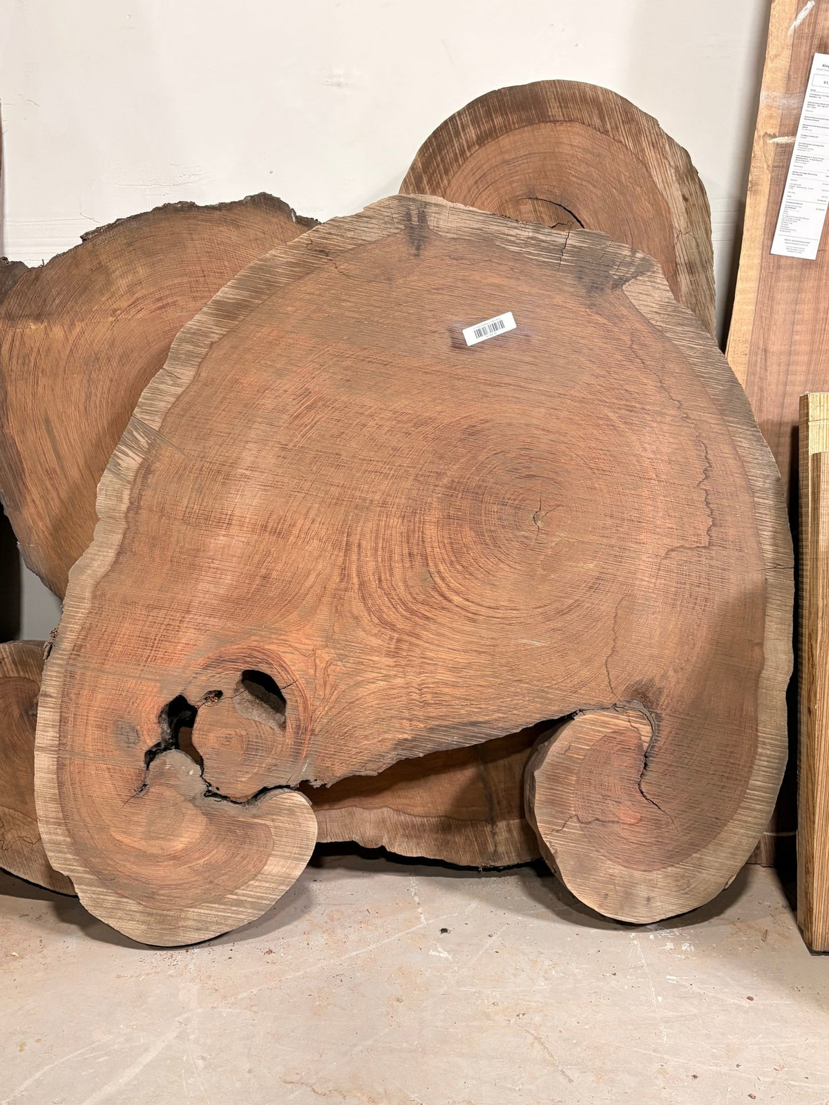 4" Thick Bubinga Cookie BC02 - Kingma Lumber Edmonton
