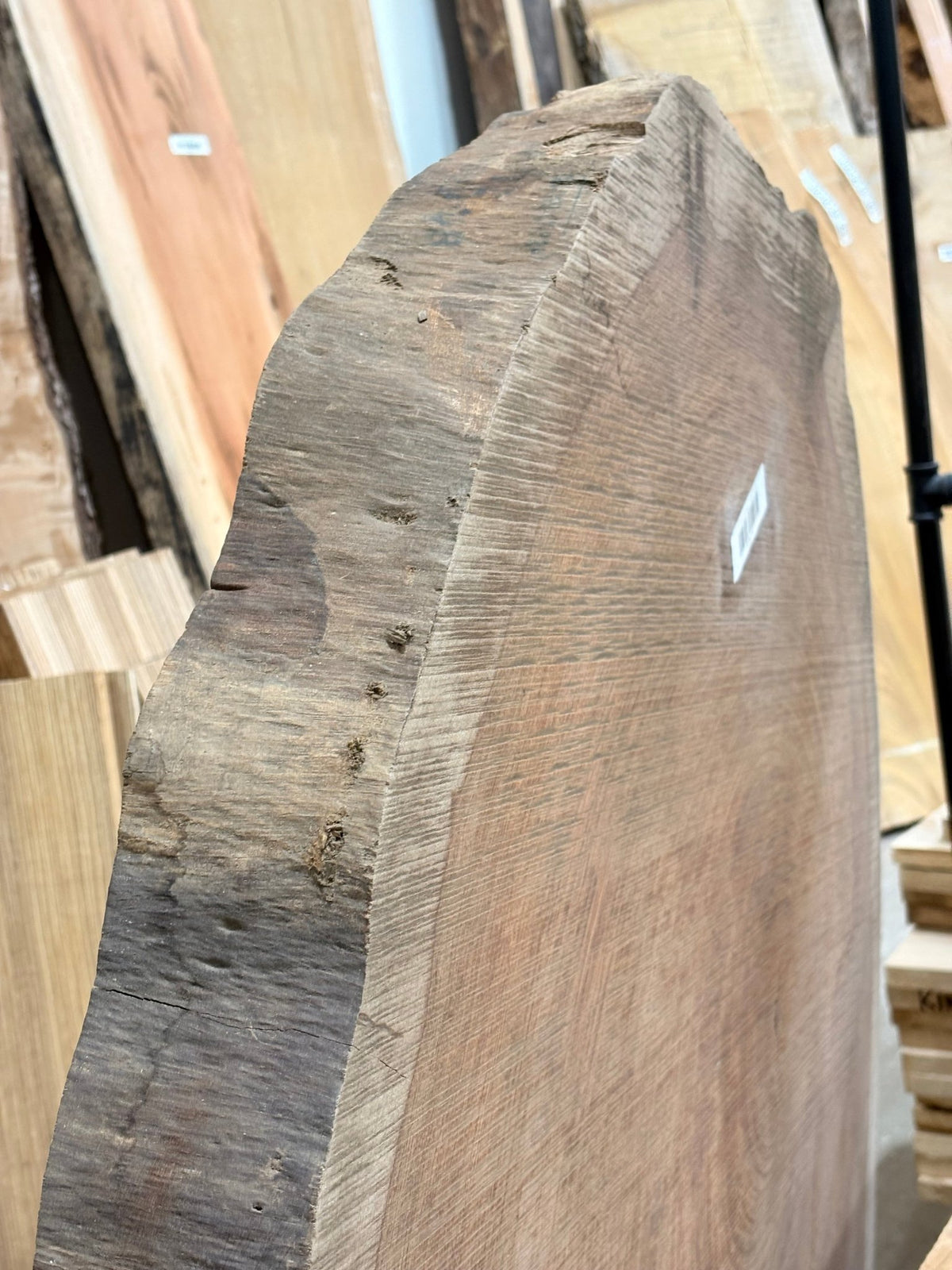 4" Thick Bubinga Cookie BC02 - Kingma Lumber Edmonton