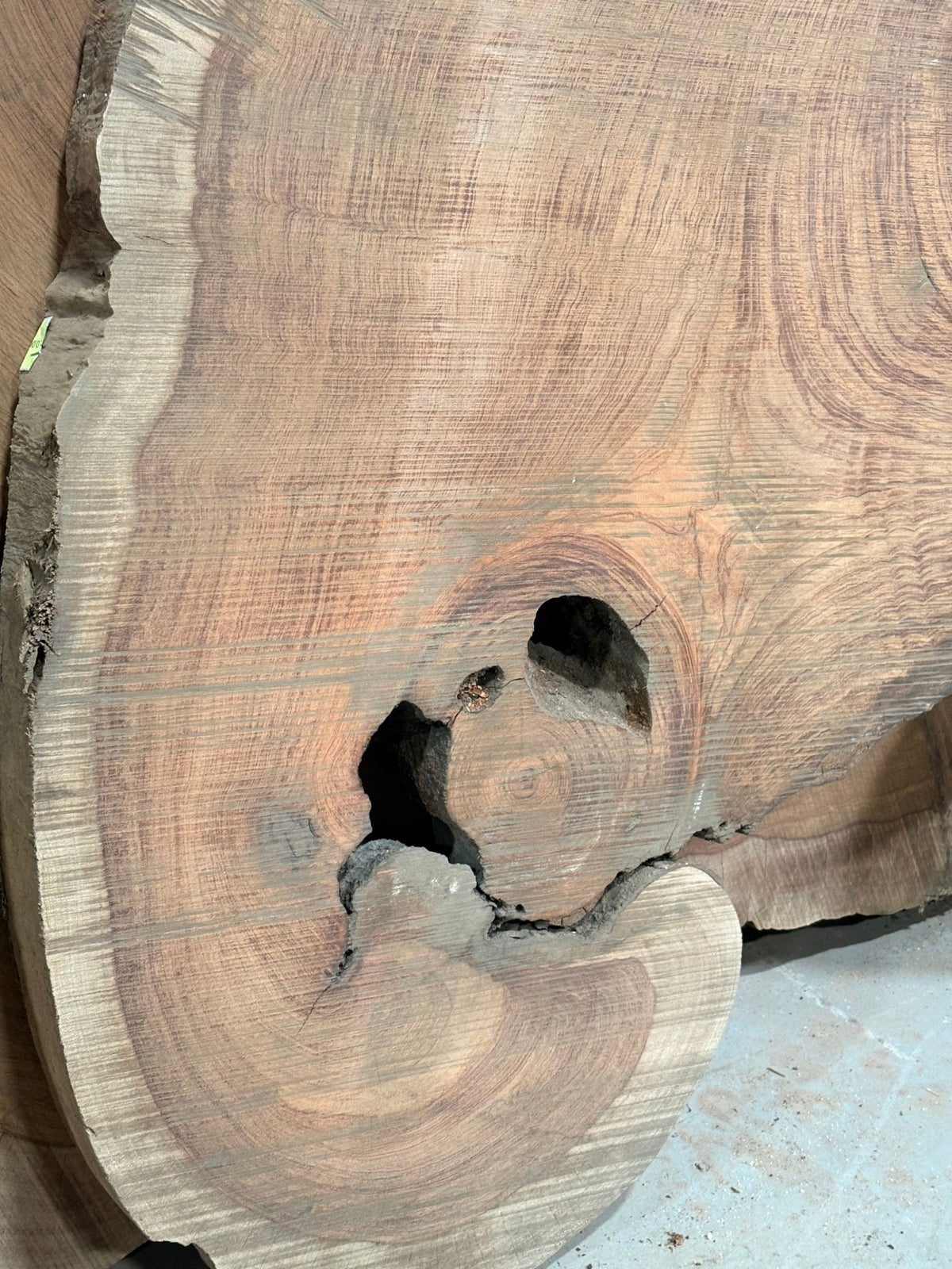 4" Thick Bubinga Cookie BC02 - Kingma Lumber Edmonton