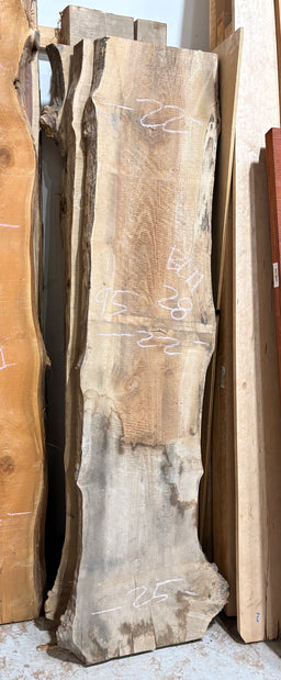 Big Leaf Maple Live Edge BLM28 (22-25x95x2)