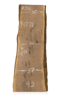556 – Walnut Live Edge Slab 3.5” Thick, 37” x 92” – Edmonton Lumber - Kingma Lumber