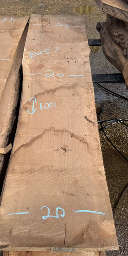 Black Walnut Live Edge Slab BW57