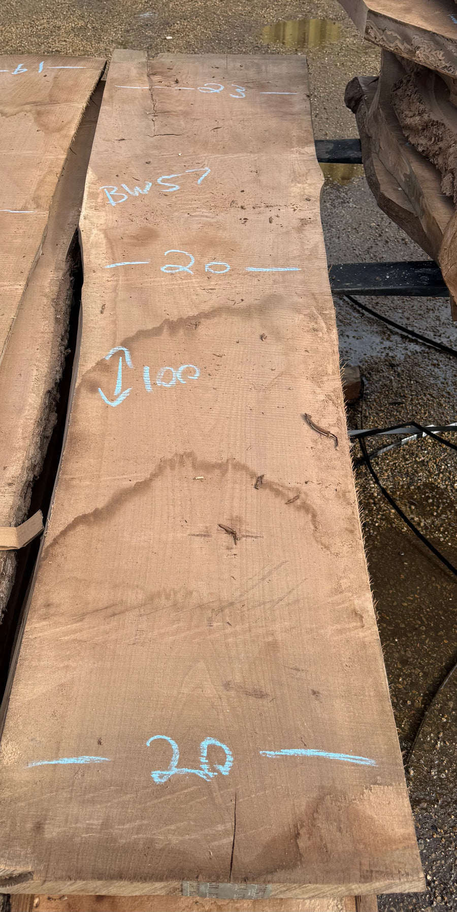 Black Walnut Live Edge Slab BW57