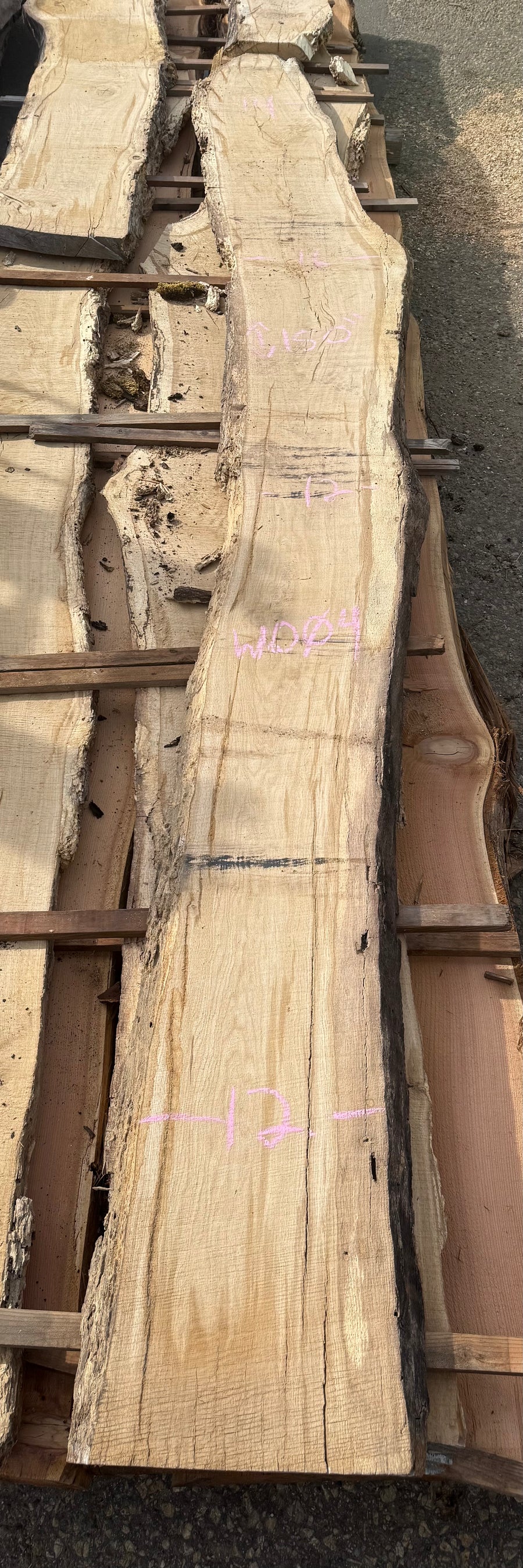 White oak Live Edge WO04 12-16x150” 8/4