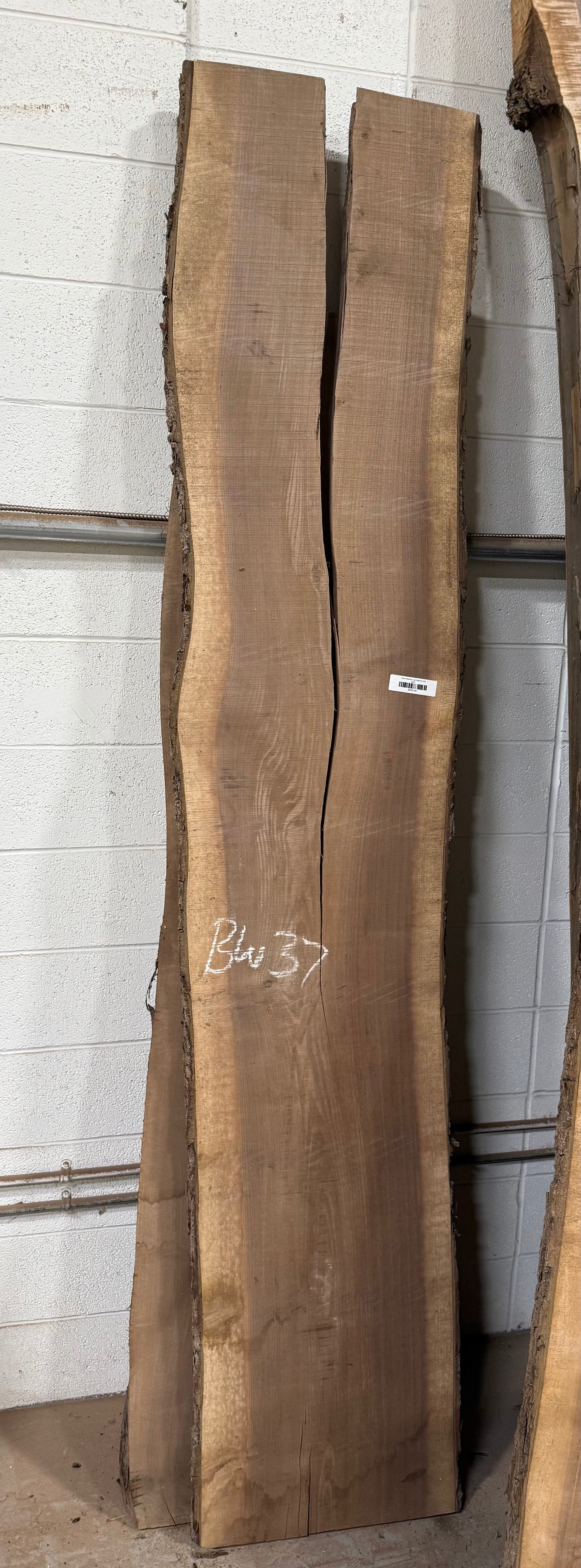 Black Walnut Live Edge Slab BW37