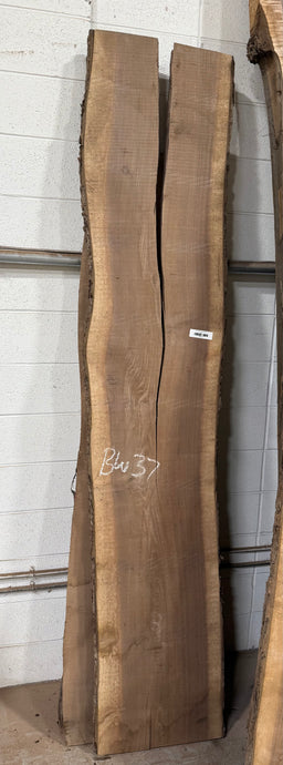 Black Walnut Live Edge Slab BW37