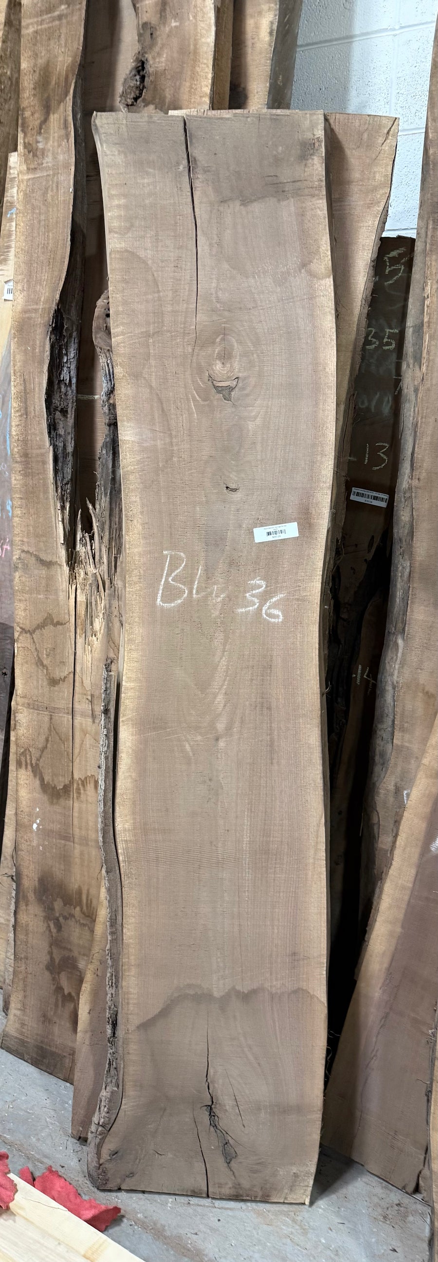 Black Walnut Live Edge Slab BW36