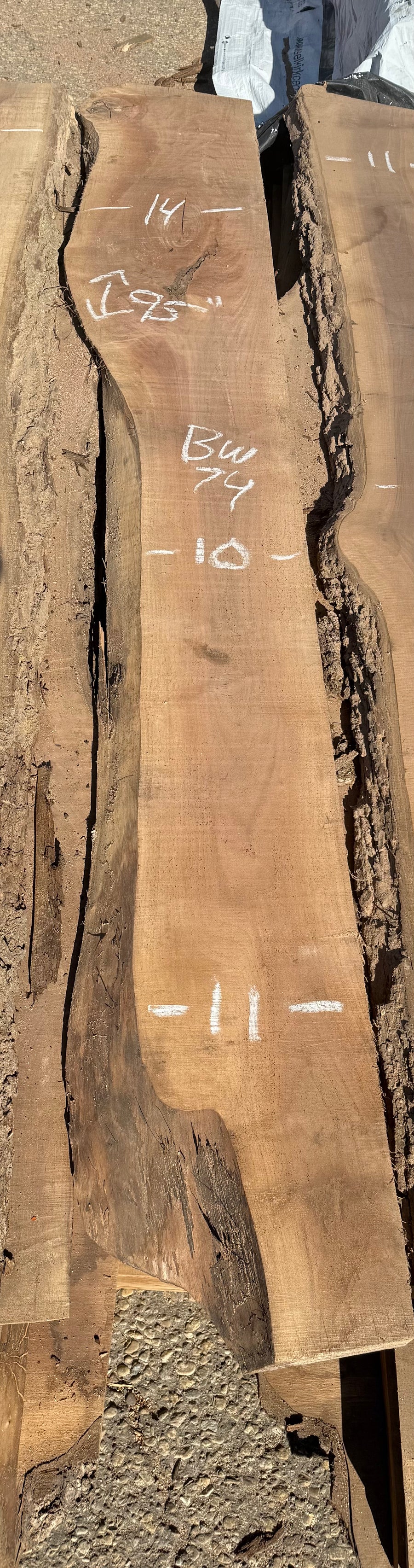 Black Walnut Live Edge Slab  BW82 10-14x95” 8/4