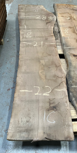 Black Walnut Live Edge Slab Bookmatch BWC119
