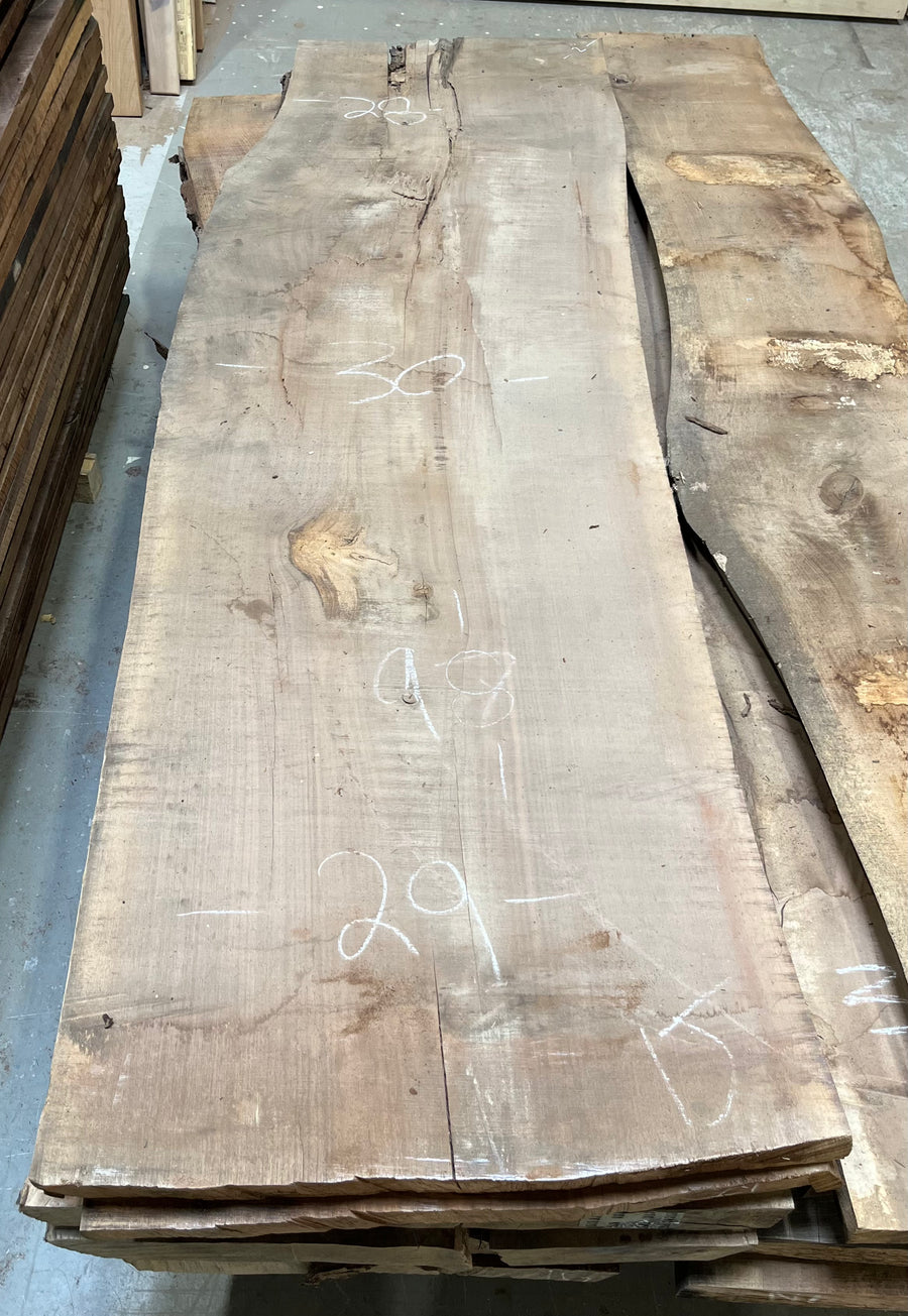 Black Walnut Live Edge Slab BWC19