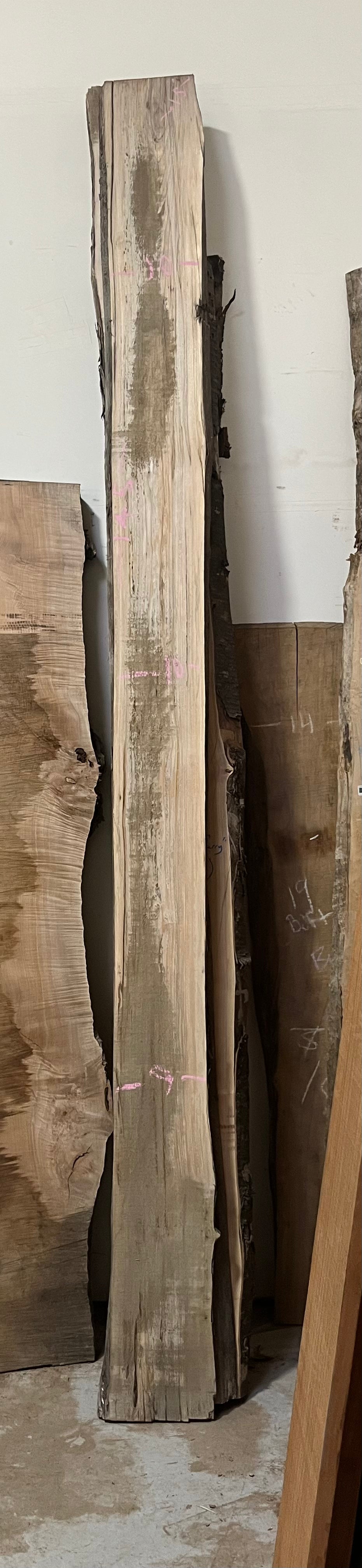 Big Leaf Maple Live Edge BLM10 10x145x1.5