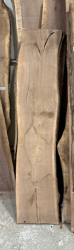 Black Walnut Live Edge Slab BW47