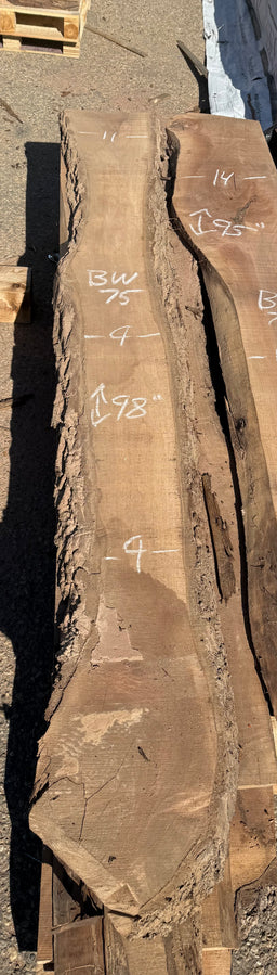 Black Walnut Live Edge Slab  BW75 9-11x98” 8/4