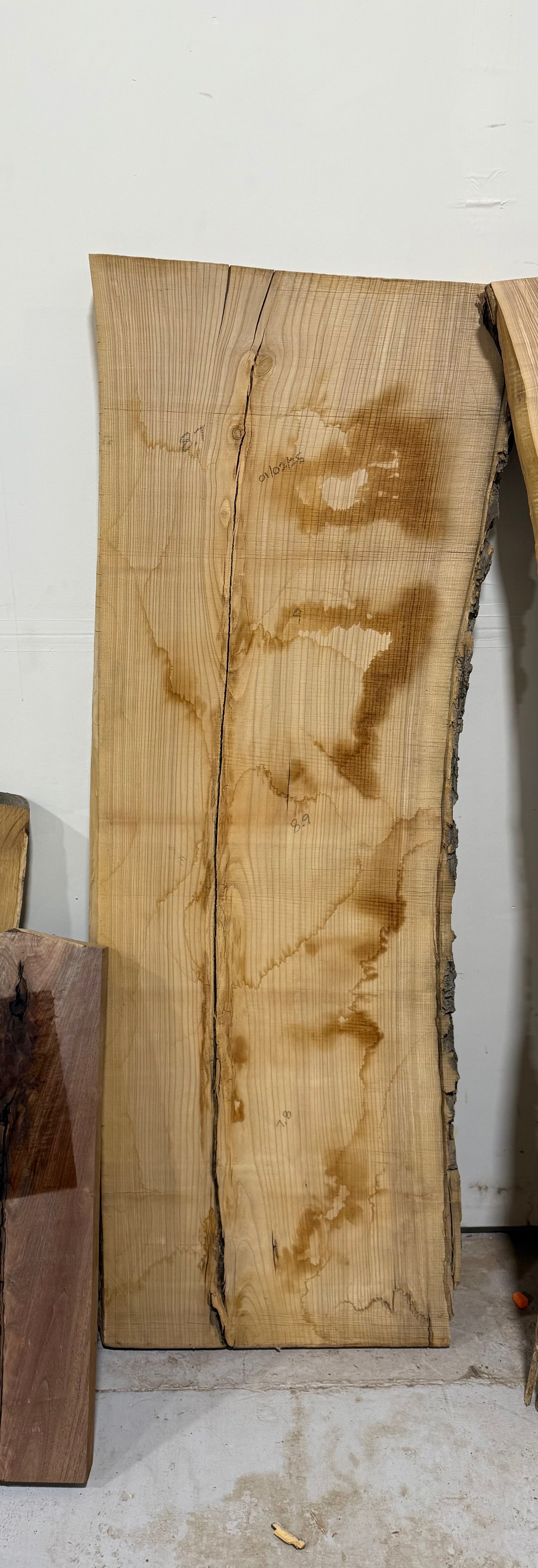 Ash slab #5
