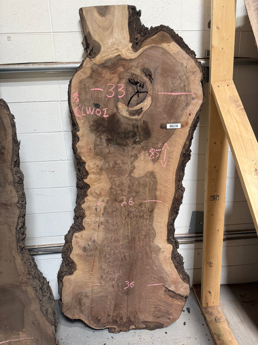 Grafted Claro Walnut Burl CLW01