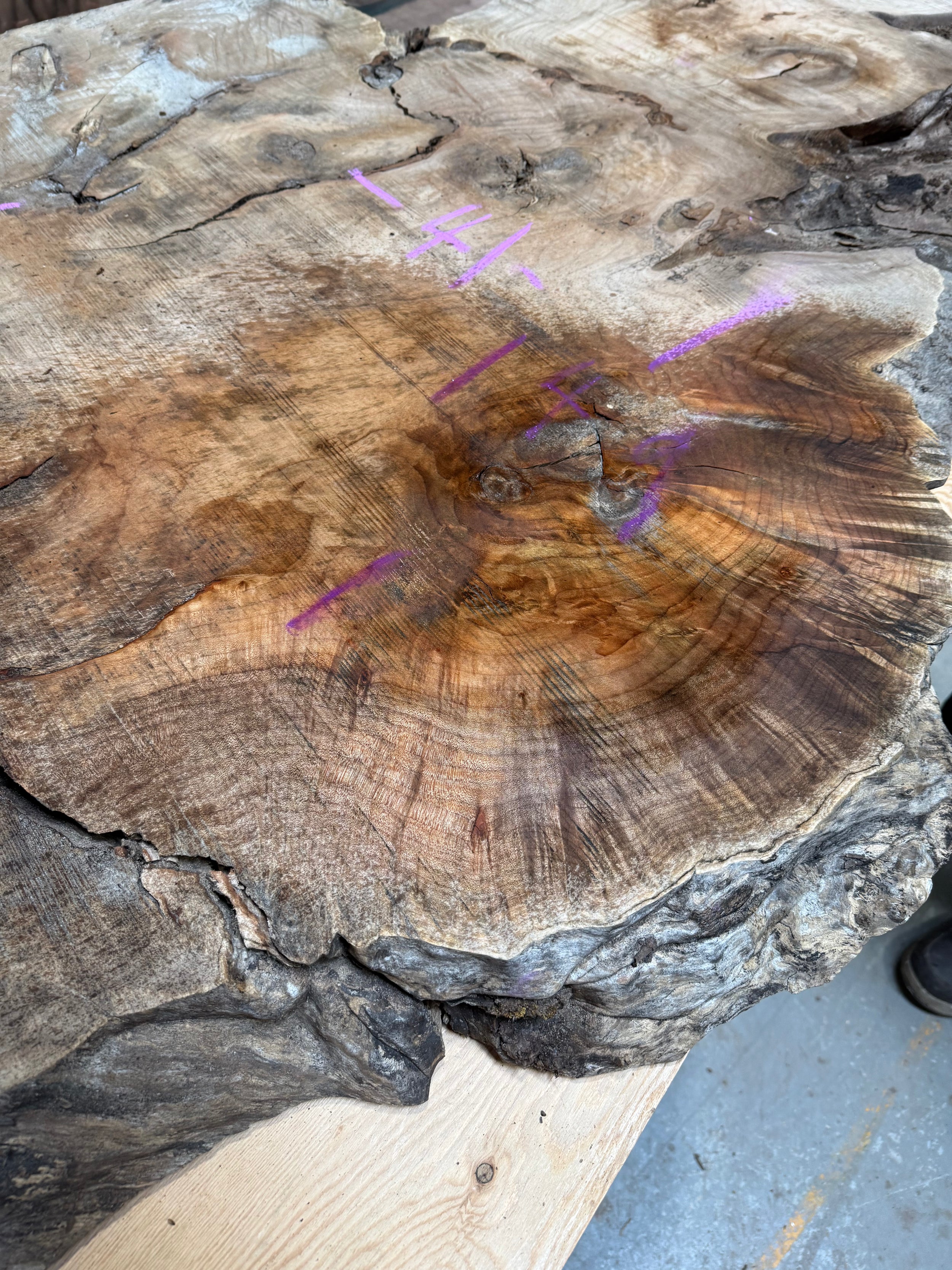 Big Leaf Maple Live Edge BLM13 19-41x149x3