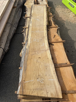 White oak Live Edge WO01