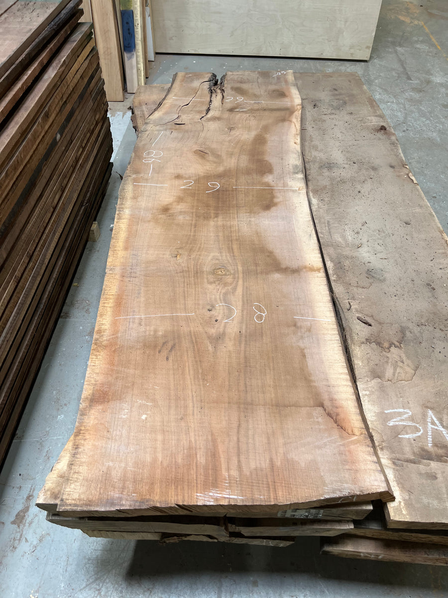 Black Walnut Live Edge Slab BWC111