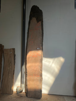 Arbutus Live Edge Slab AR05