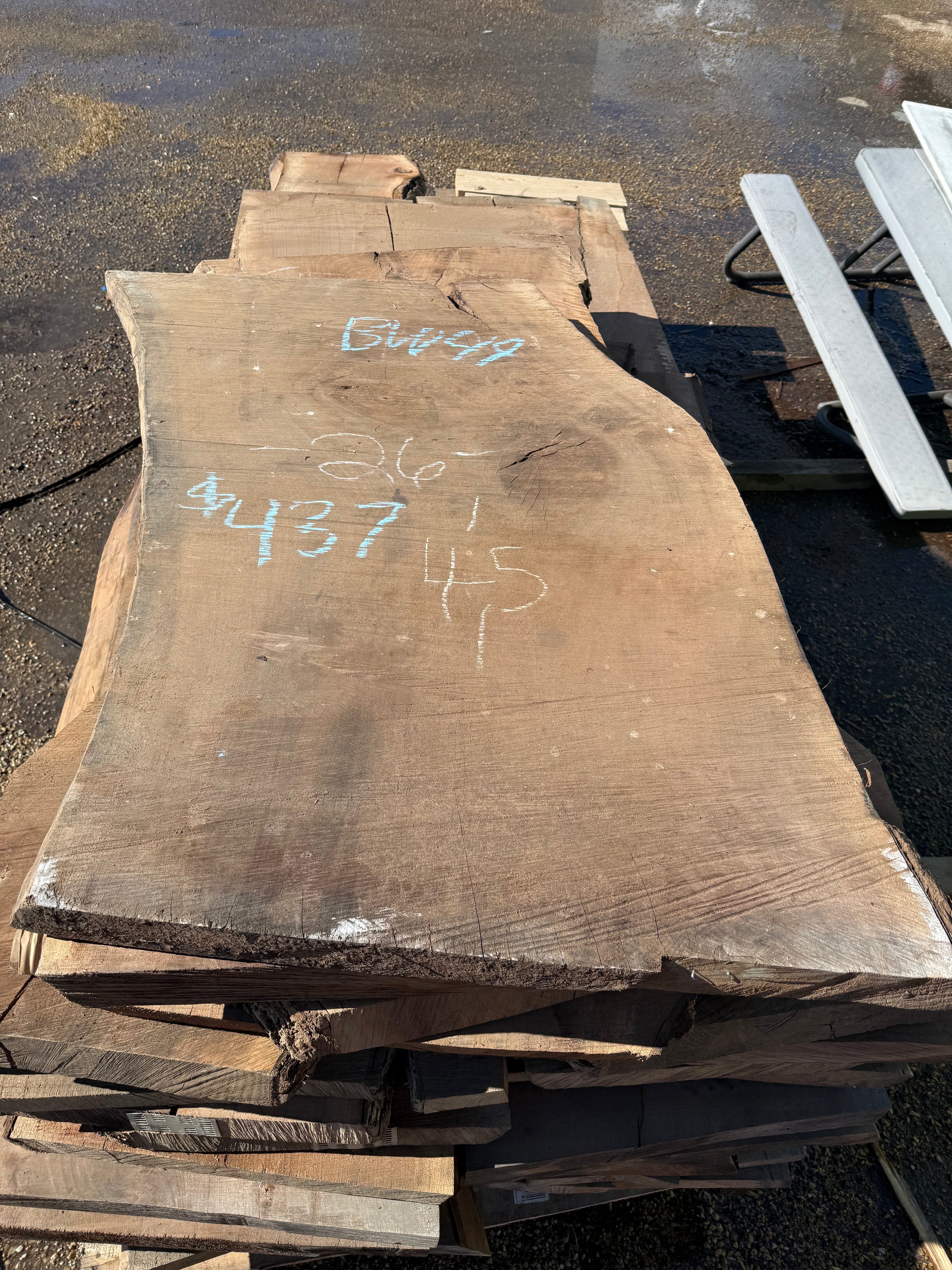 Black Walnut Live Edge Slab BW49