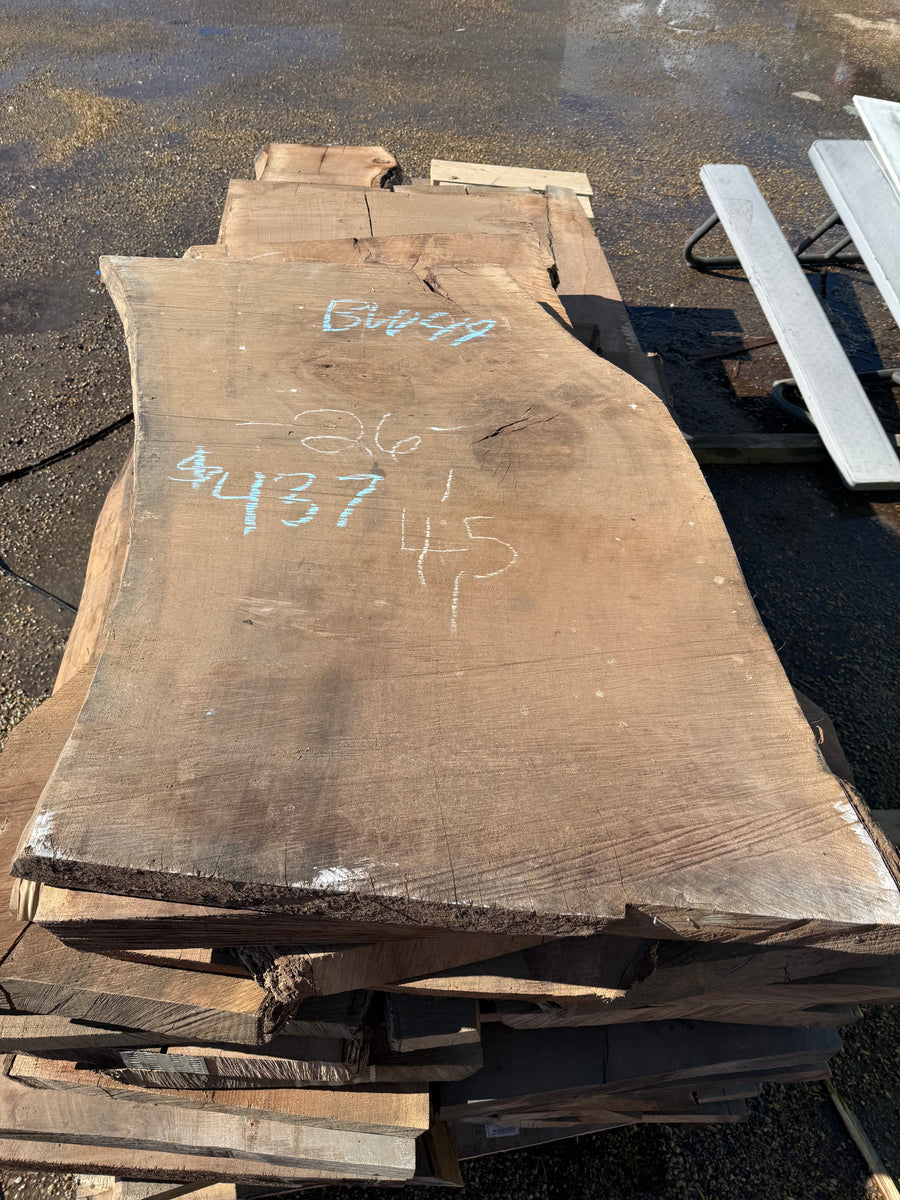 Black Walnut Live Edge Slab BW49