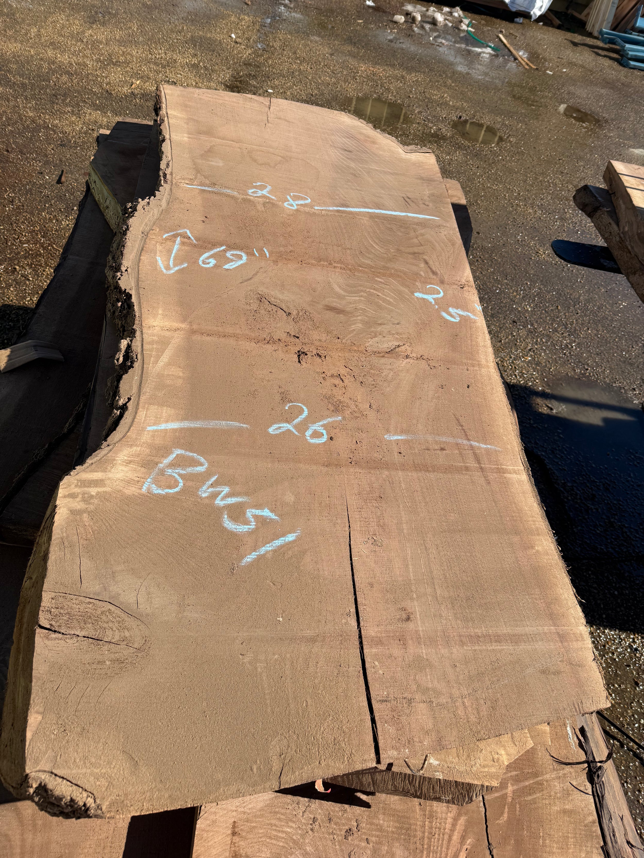 Black Walnut Live Edge Slab BW51