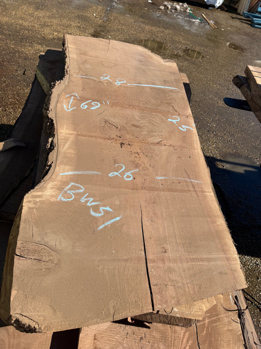 Black Walnut Live Edge Slab BW51