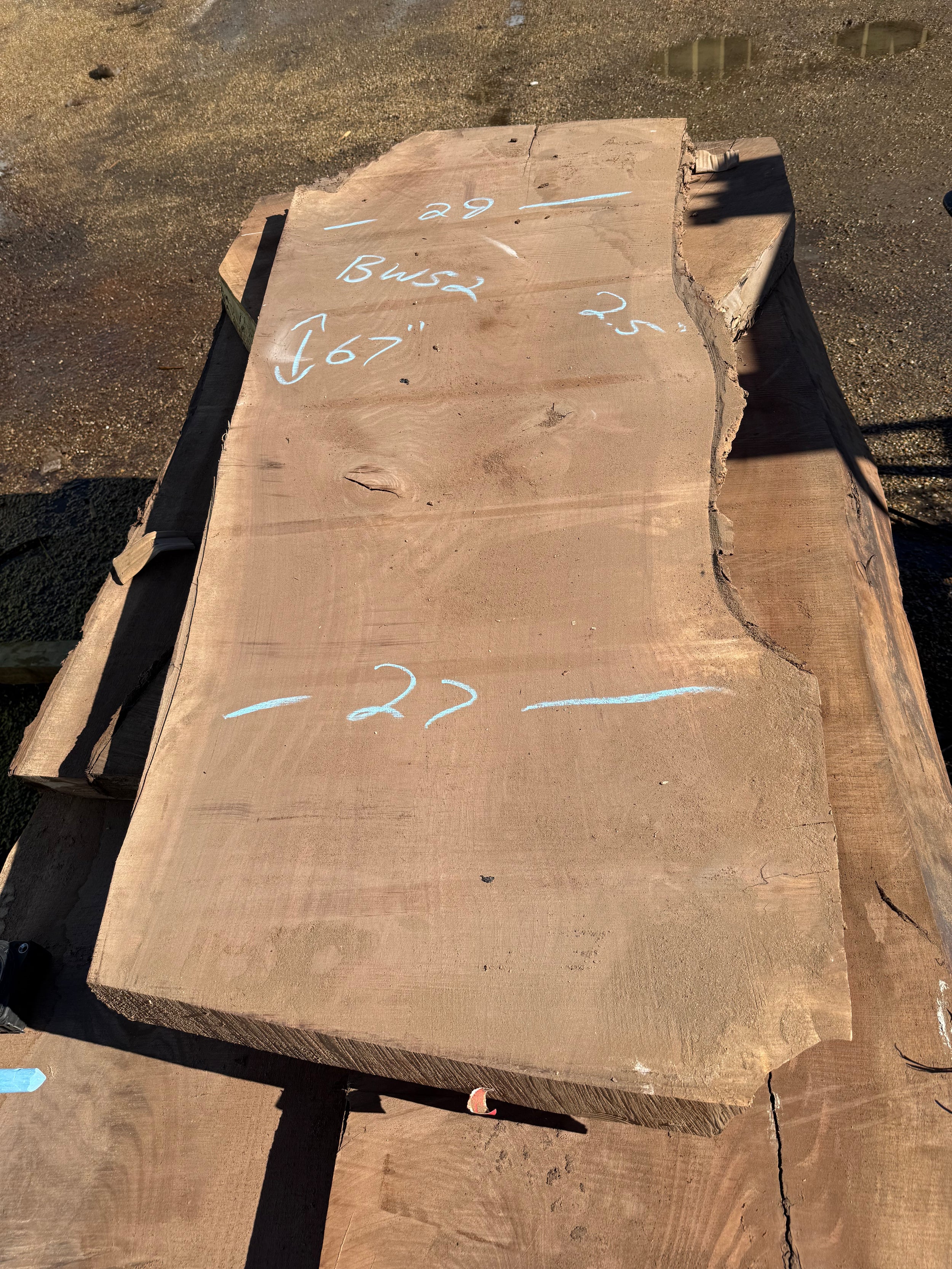 Black Walnut Live Edge Slab BW52