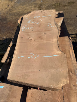 Black Walnut Live Edge Slab BW52