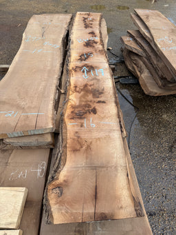 Black Walnut Live Edge Slab BW58