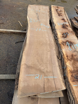 Black Walnut Live Edge Slab BW59