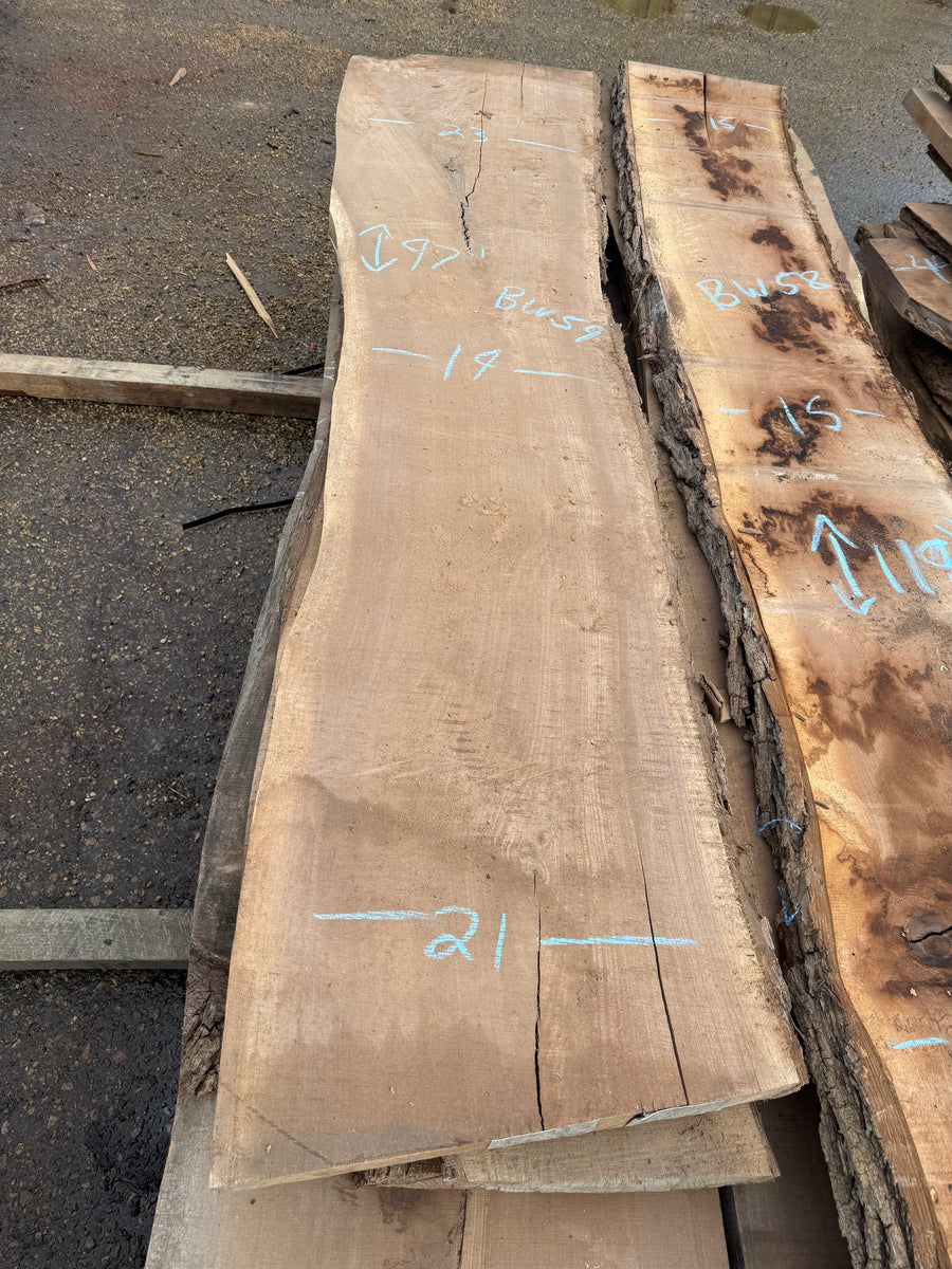 Black Walnut Live Edge Slab BW59