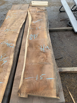Black Walnut Live Edge Slab BW63