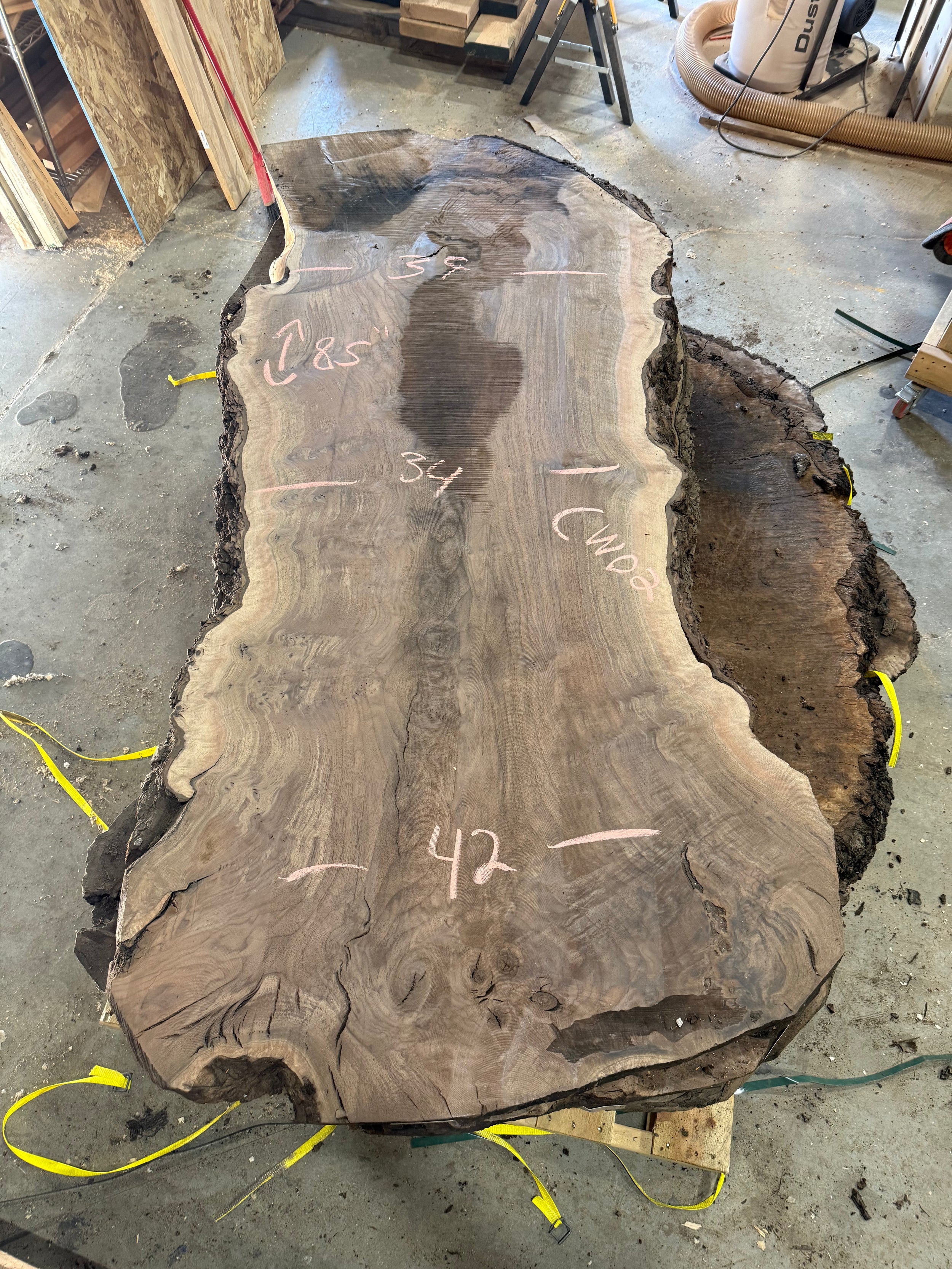 Grafted Claro Walnut Burl CLW02