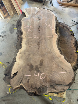 Grafted Claro Walnut Burl CLW03