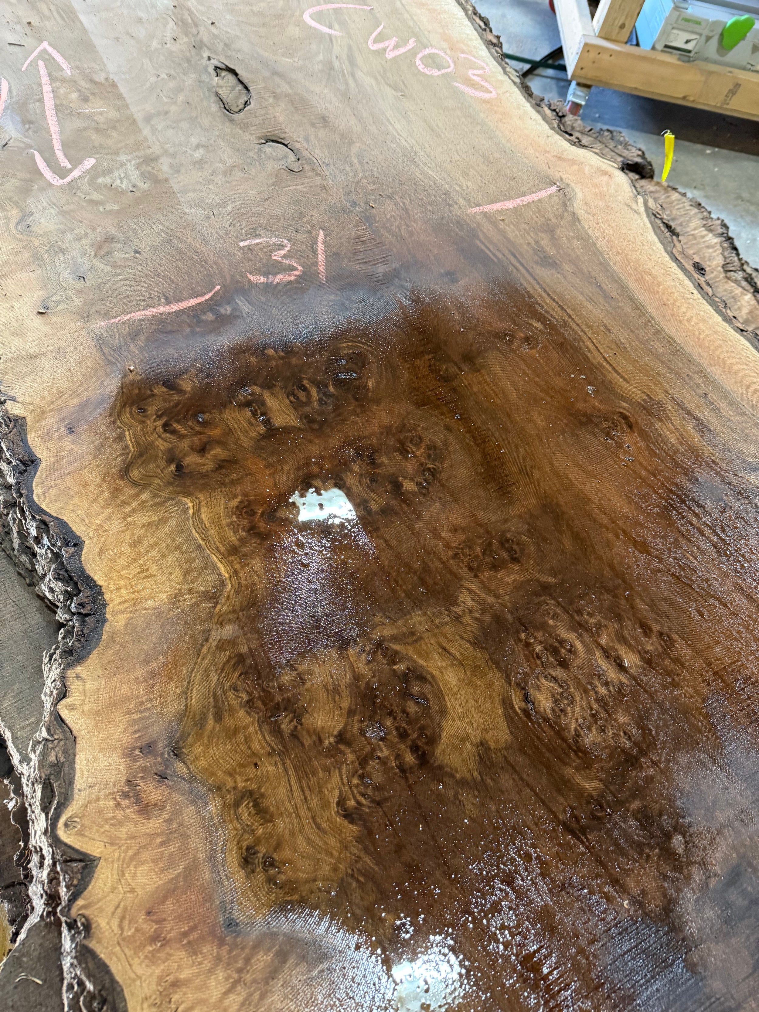 Grafted Claro Walnut Burl CLW03