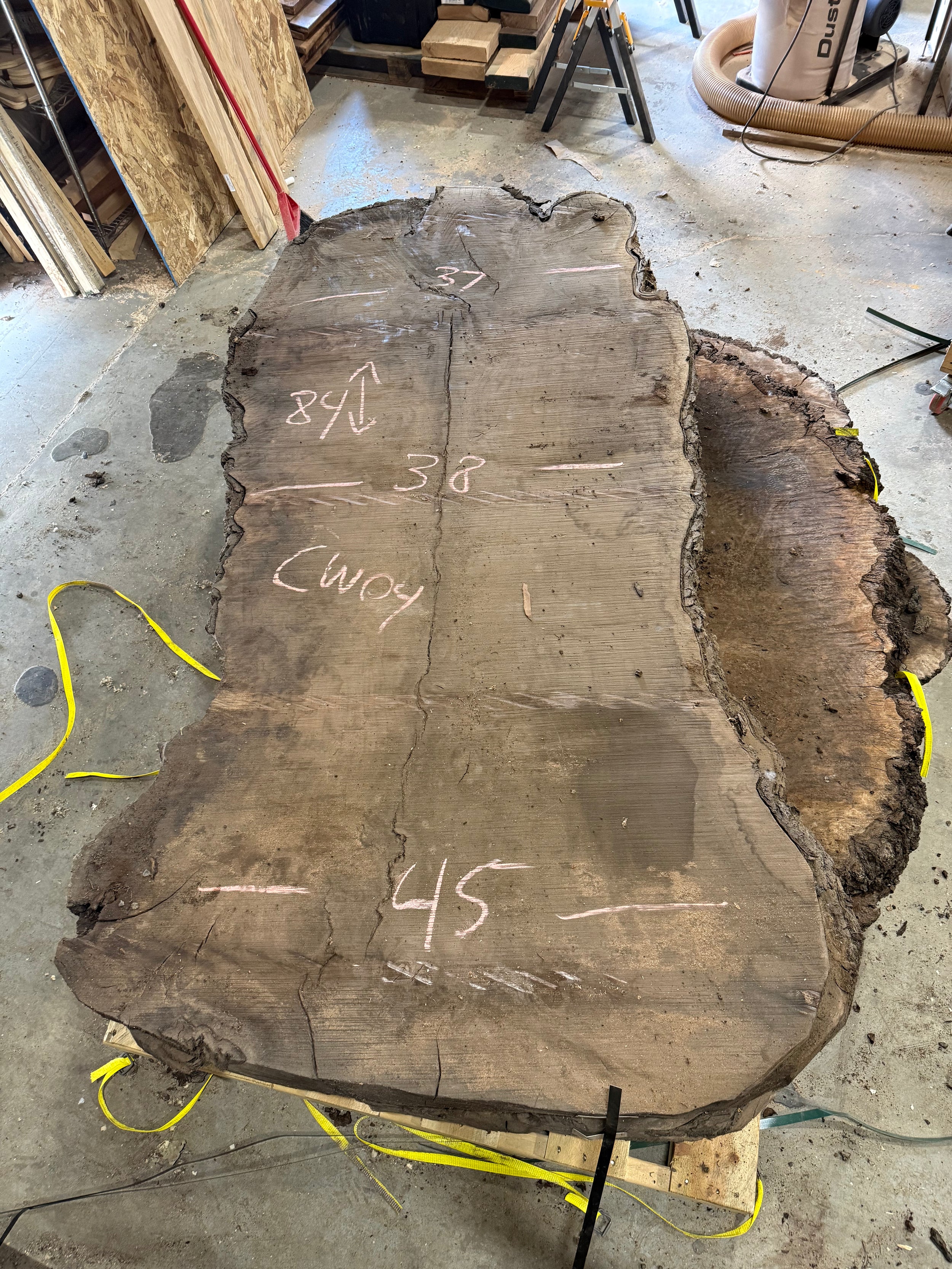 Grafted Claro Walnut Burl CLW04