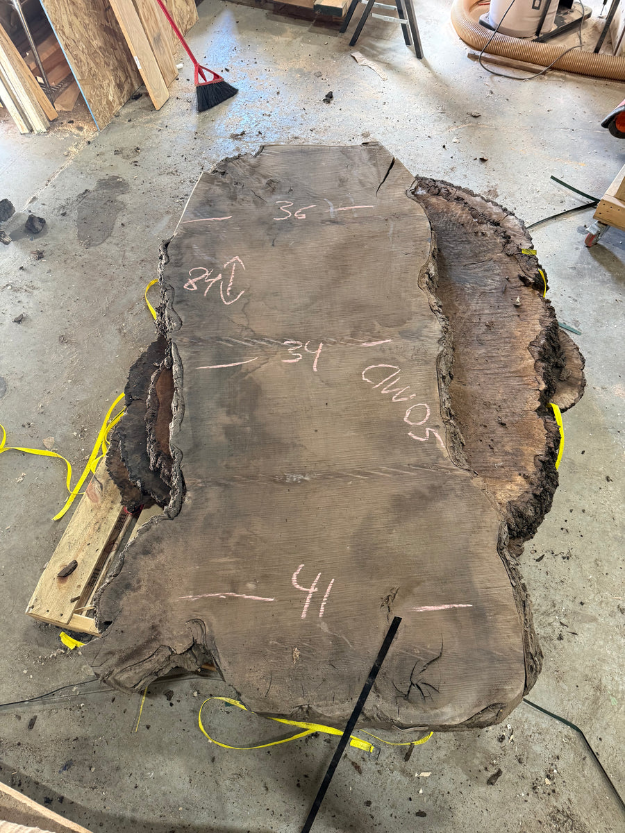 Grafted Claro Walnut Burl CLW05