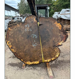 Claro Walnut Burl Slabs CLB02