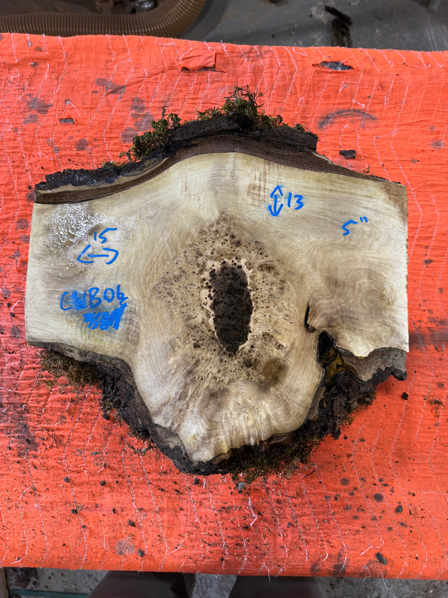 Claro Walnut Burl Slabs CLB06