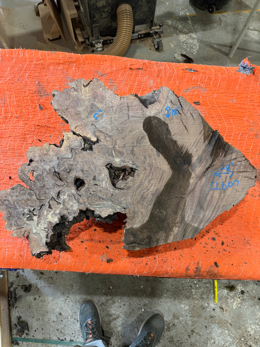 Claro Walnut Burl Slabs CLB07