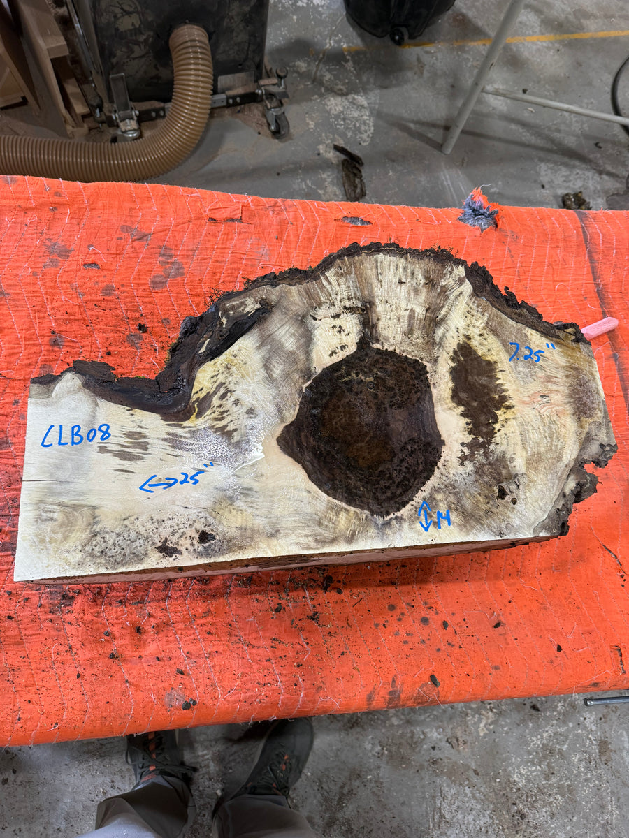 Claro Walnut Burl Slabs CLB08