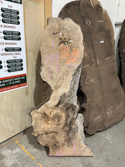 Big Leaf Maple Live Edge BLM33 21x70x3