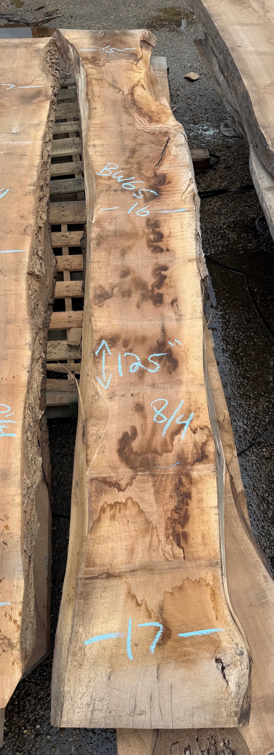 Black Walnut Live Edge Slab BW65