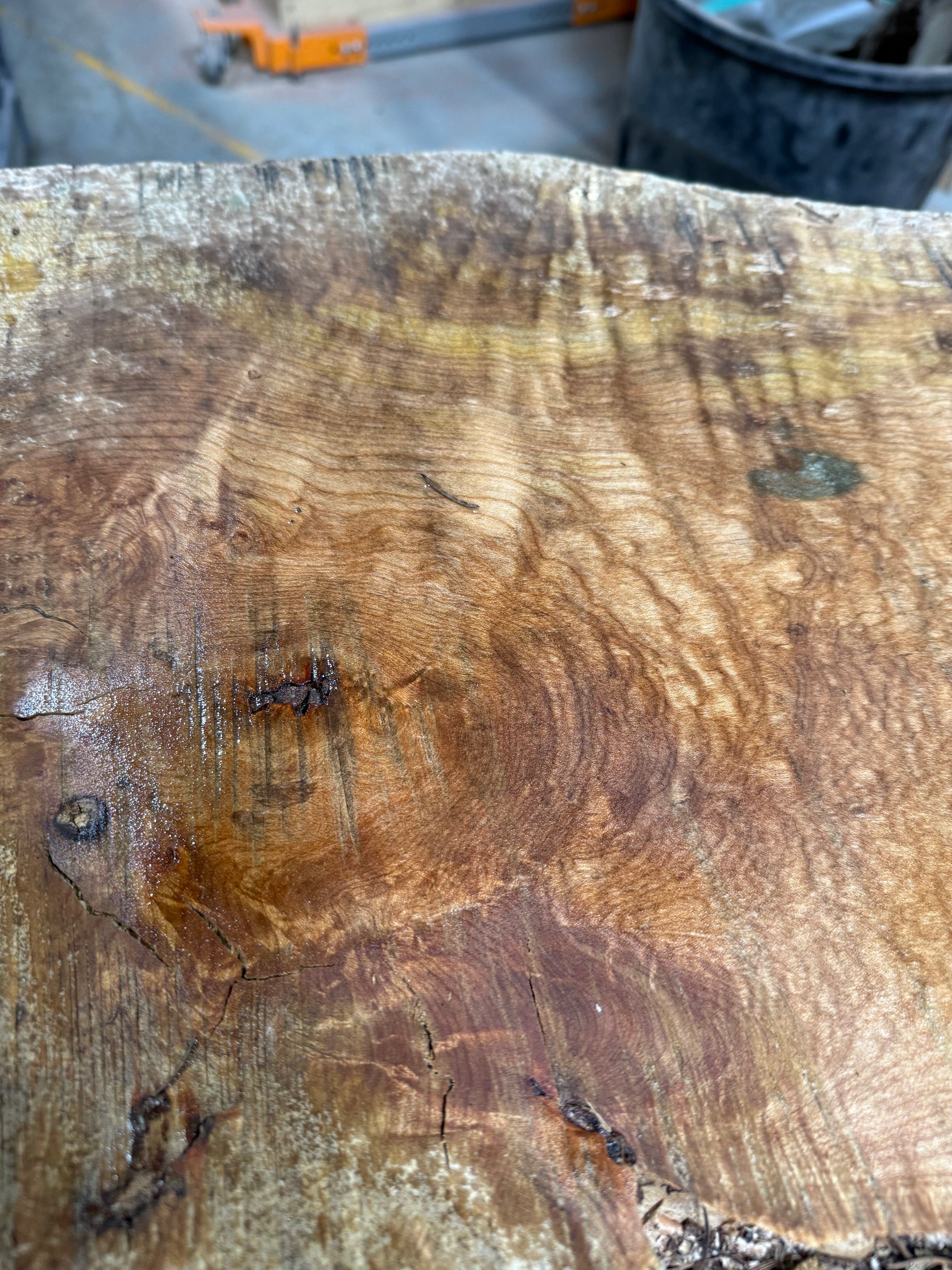 Curly Maple Live Edge CM03